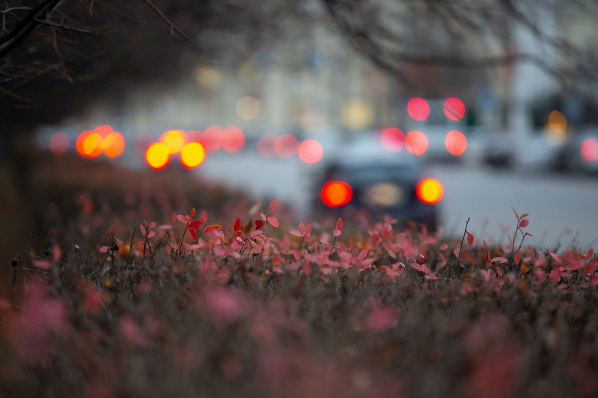 В Калужской области расследуют гибель мужчины, найденного на обочине дороги