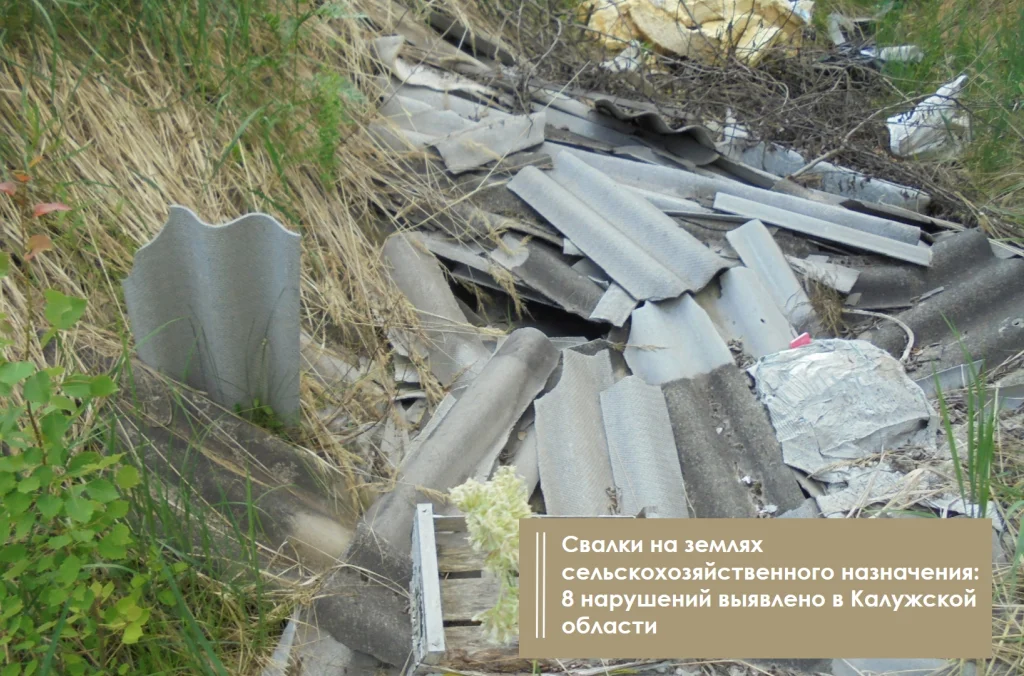 Нелегальные свалки нашли в Калужской области
