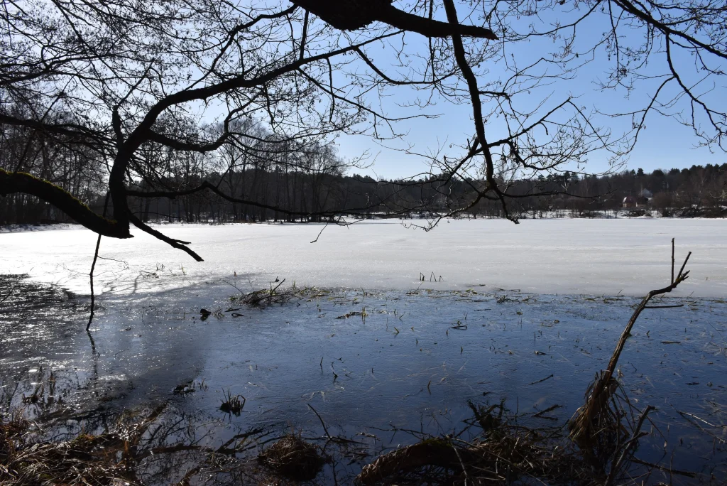 Река Ока в районе Калуги весной может подняться выше девяти метров