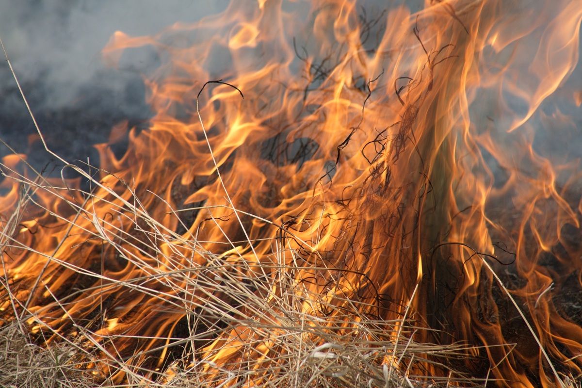 35 пожаров за двое суток произошли в Калужской области: горели бани, дома и мусор