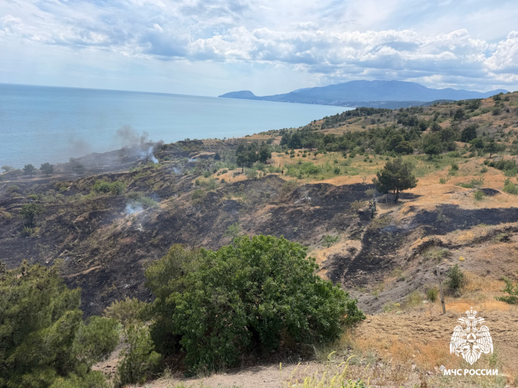 В Алуште ликвидировали крупный природный пожар на площади 5 гектаров