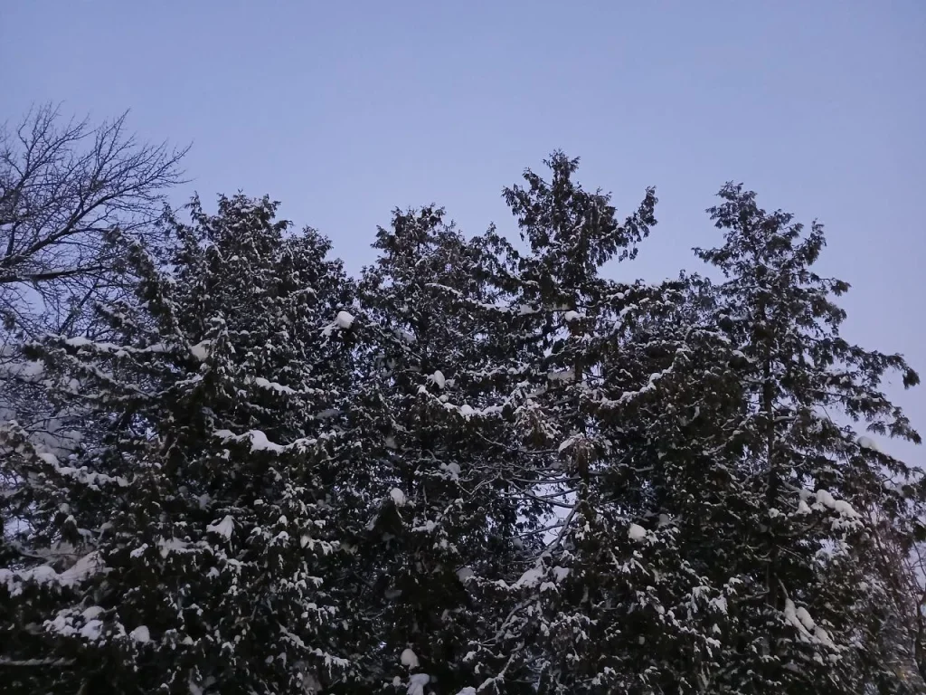 Пять беспилотников сбили в Калужской области вечером понедельника