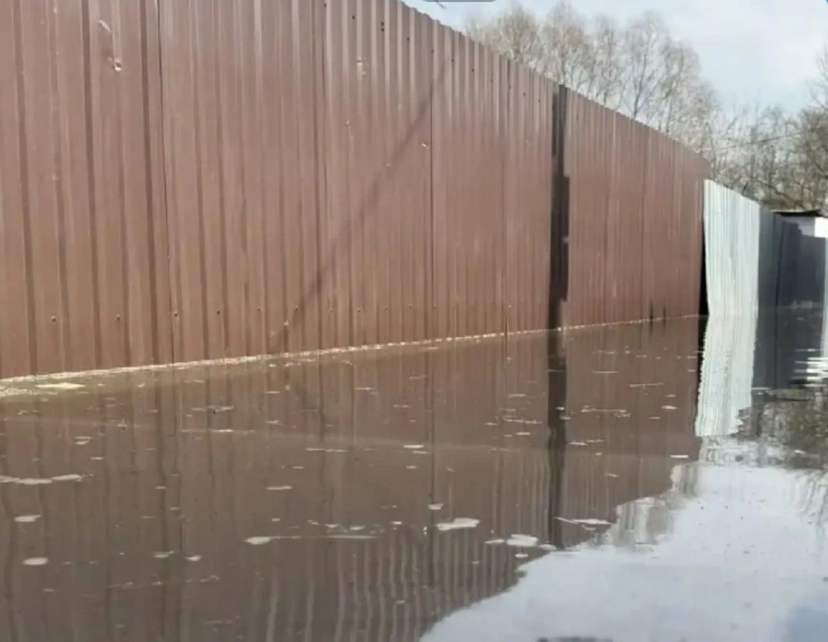 В Калужской области за сутки резко упал уровень в Оке и Угре