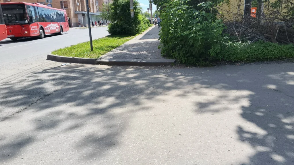 В Калуге проверят ситуацию с передвижением инвалида по улице Плеханова