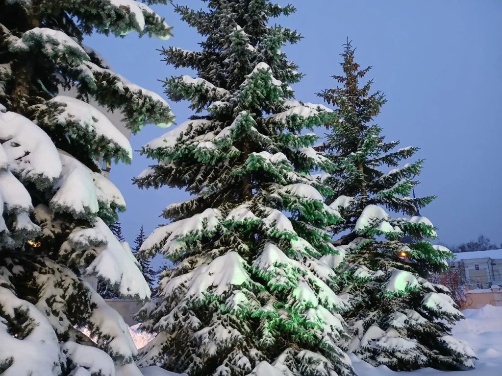 Аномальная погода ждет Калужскую область