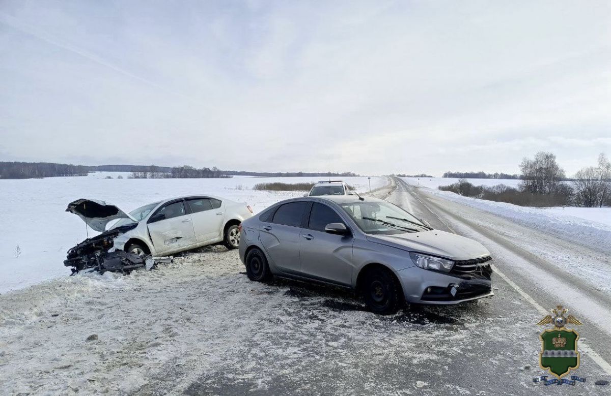 Два человека пострадали в ДТП на трассе Р-132 в Калужской области
