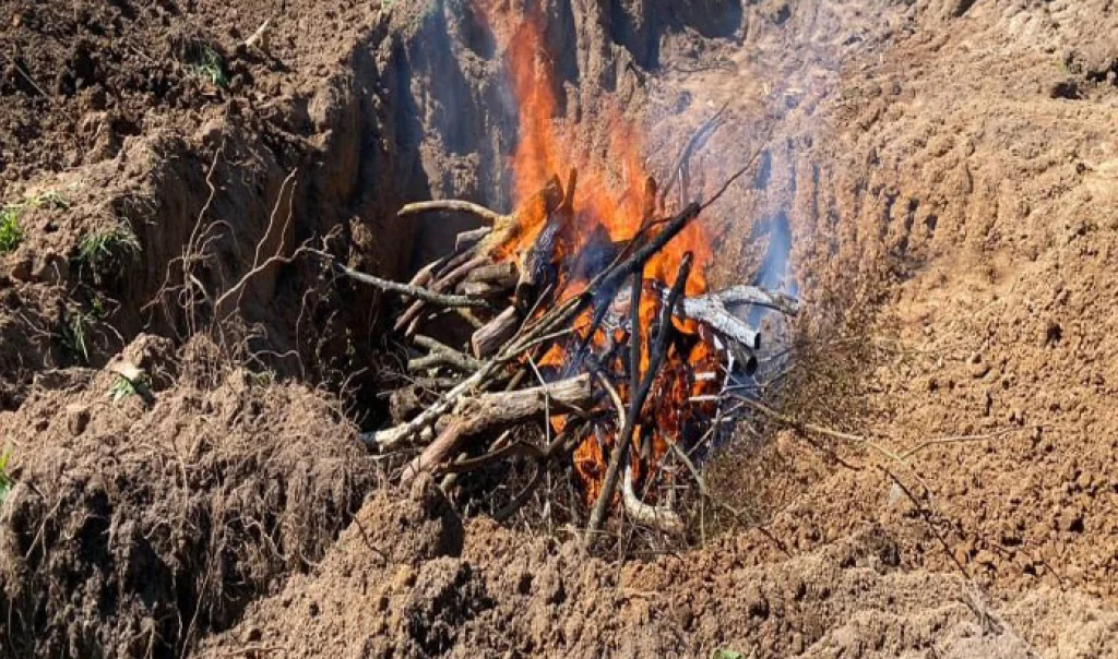 В Калужской области ликвидировали 19 скотомогильников