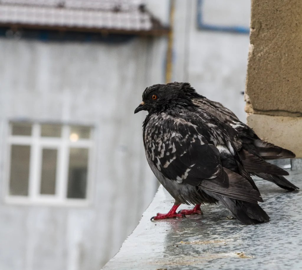 Погода удивит жителей Калуги