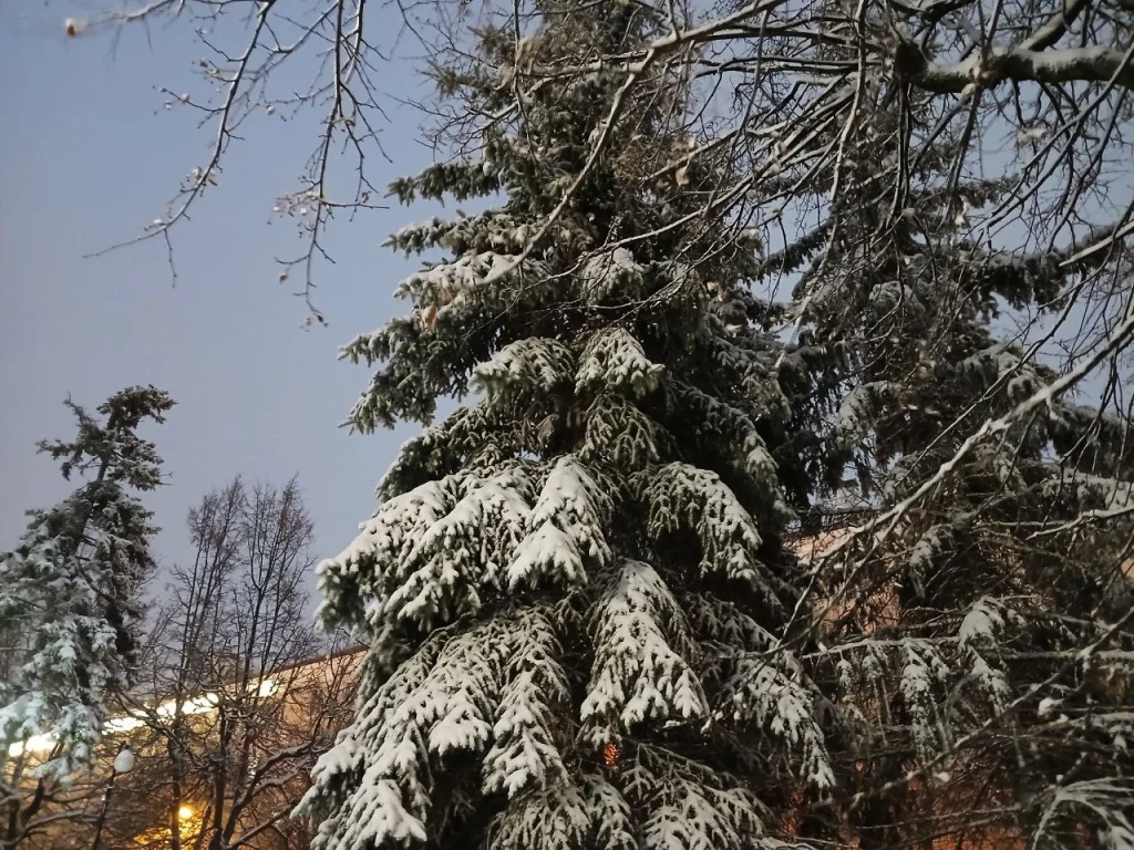 Что творится в Калуге после сильного снегопада