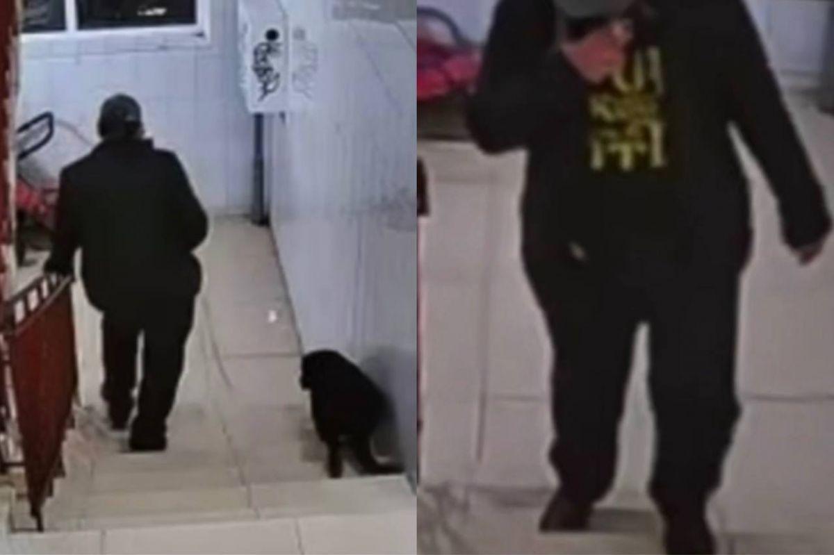 Жесткого убийцу собаки в Калужской области вычислили