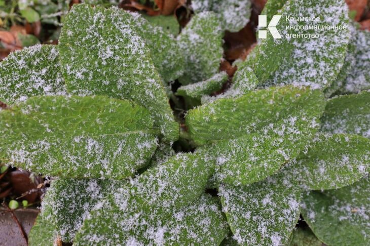 В Крым идут морозы до -2 градусов