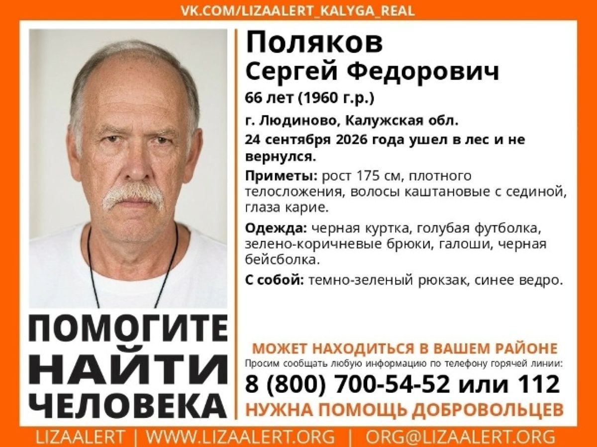 66-летний мужчина из Людиново пропал в лесу