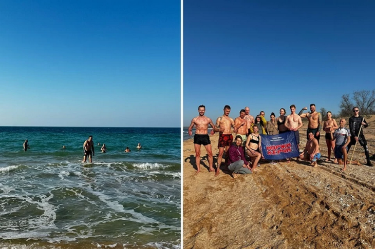 Крымские моржи пожаловались на слишком теплое море