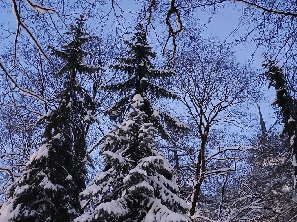 Ракетную и беспилотную опасность объявляли в Калужской области