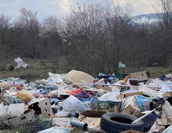 Миндальные сады под Бахчисараем превратили в свалку