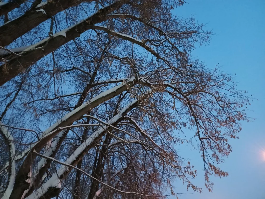 Системы ПВО сбили беспилотник над Калужской областью