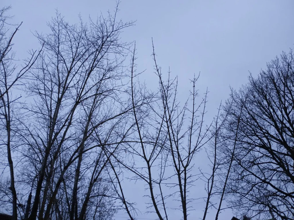 В Калужской области отменили беспилотную опасность