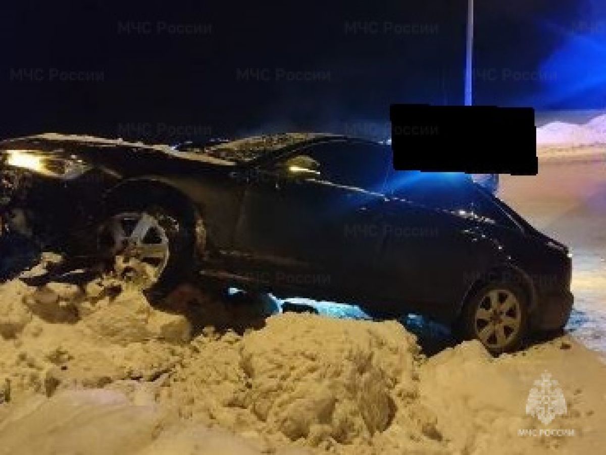 В Перемышльском округе Audi наехала на препятствие: есть пострадавшие