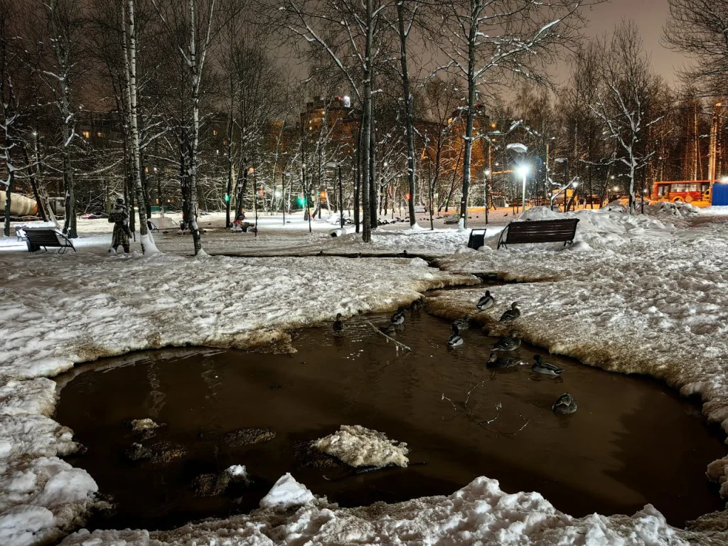 В Калуге на месте устраненной аварии появились новая река и озеро с утками
