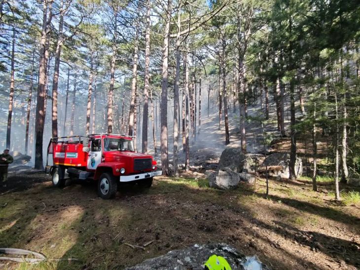 В Ялтинском заповеднике тушат пожар на 3,2 га