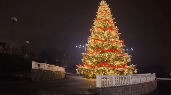 Нейросеть превратила искусственные ёлки в живые  и подвинулась поближе к власти