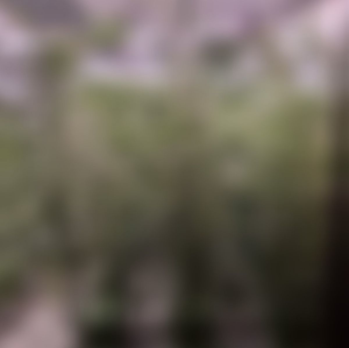 Ферму в 140 кустов конопли накрыли в Калужской области