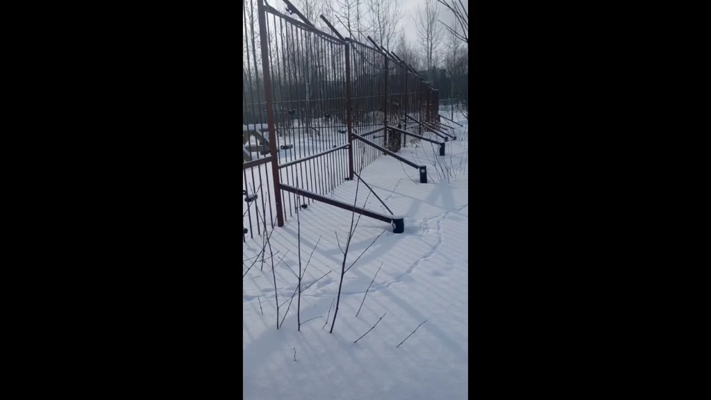 В Калуге просят о помощи для расширения медвежьего вольера