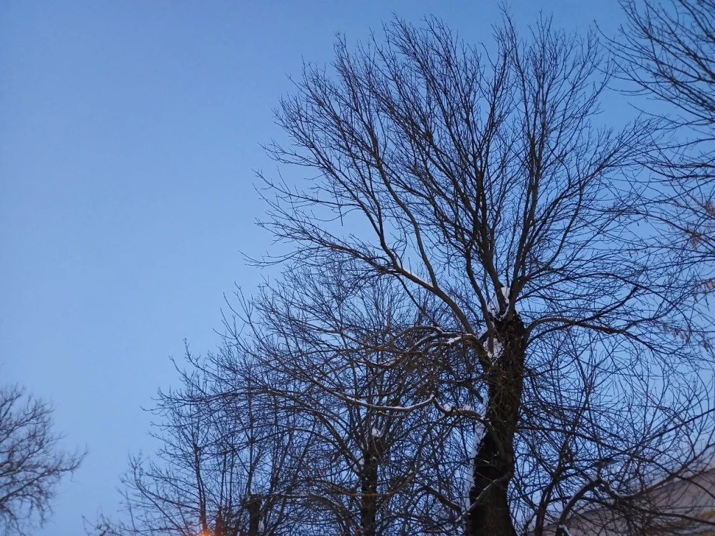 Февраль начнется с сильных морозов