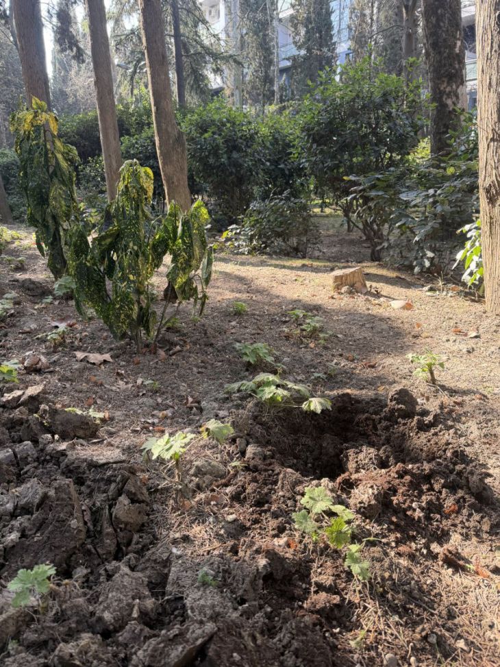 Вандалы украли растения из Приморского парка в Алуште