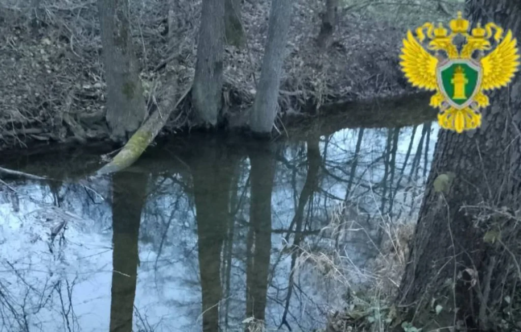 В Калужской области часть ручья изъяли из незаконного владения