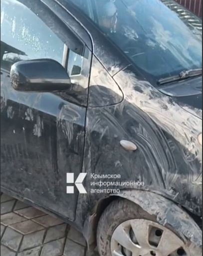 В Симферопольском районе озверевшие собаки погрызли машину