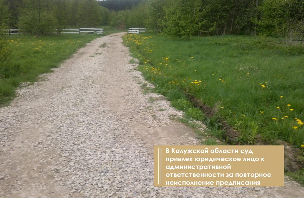 В Калужской области собственника накажут за заросший участок