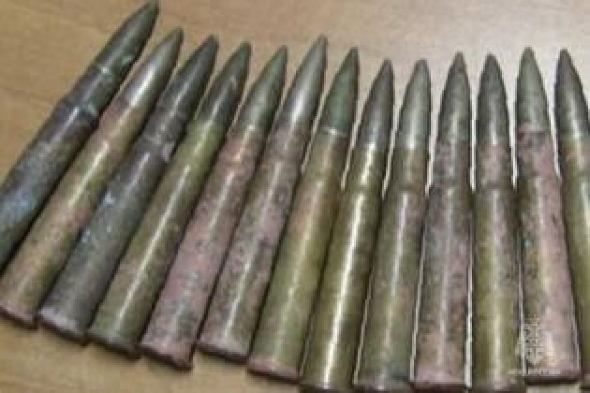 В лесу под Козельском обнаружены и обезврежены боеприпасы времен Великой Отечественной войны