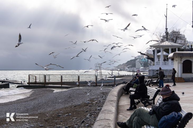 Пляжи Ялты начнут готовить к курортному сезону в апреле