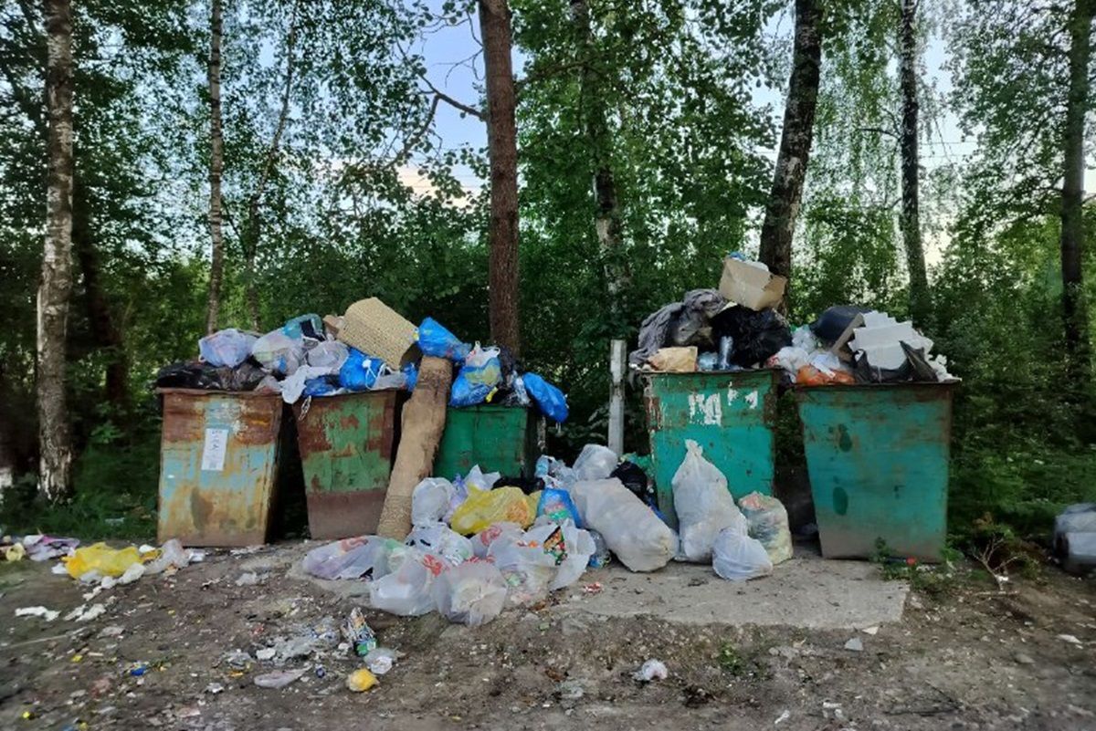 Заваленные мусором площадки в Калуге объяснили активностью дачников
