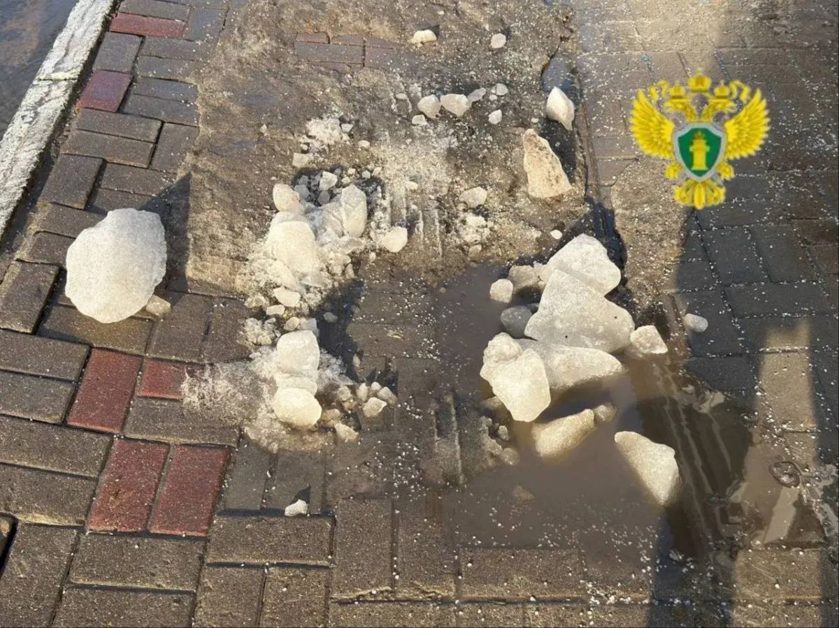 В Калуге на пенсионерку рухнула наледь с крыши