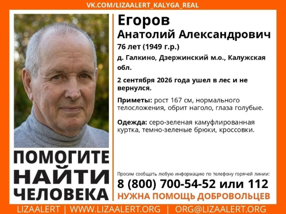 76-летний пенсионер из калужской деревни ушел в лес и не вернулся