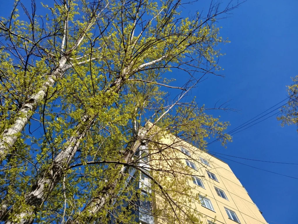 Резкое потепление ожидается в Калужской области