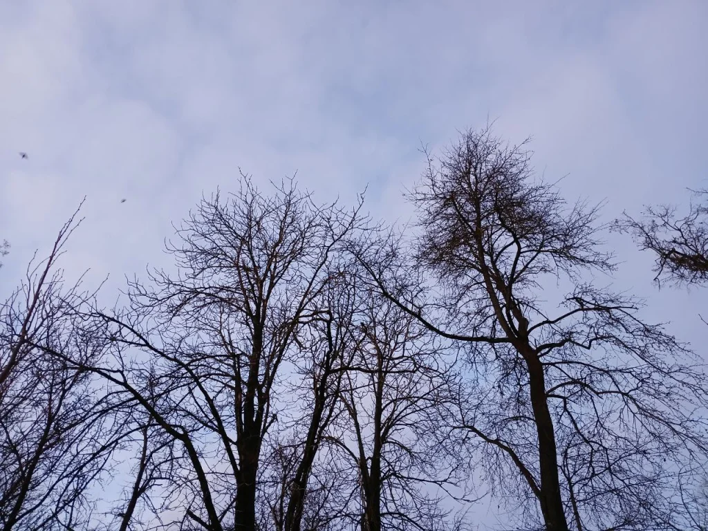 Юрий Моисеев принял участие в форуме «Большие решения малой родины»