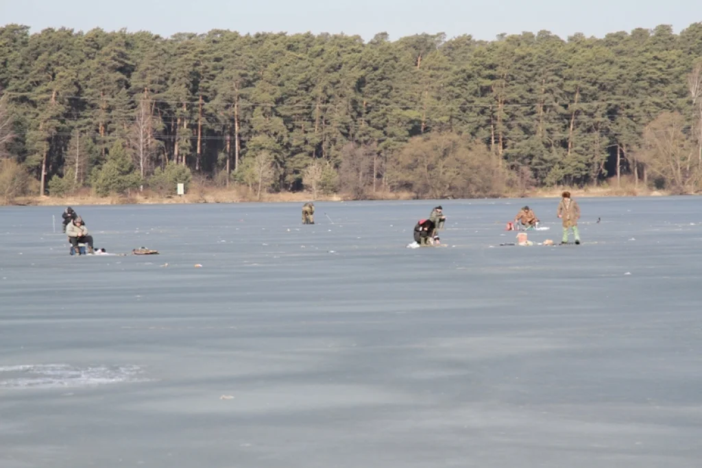 Денисов попросил калужских рыбаков не выходить на лёд