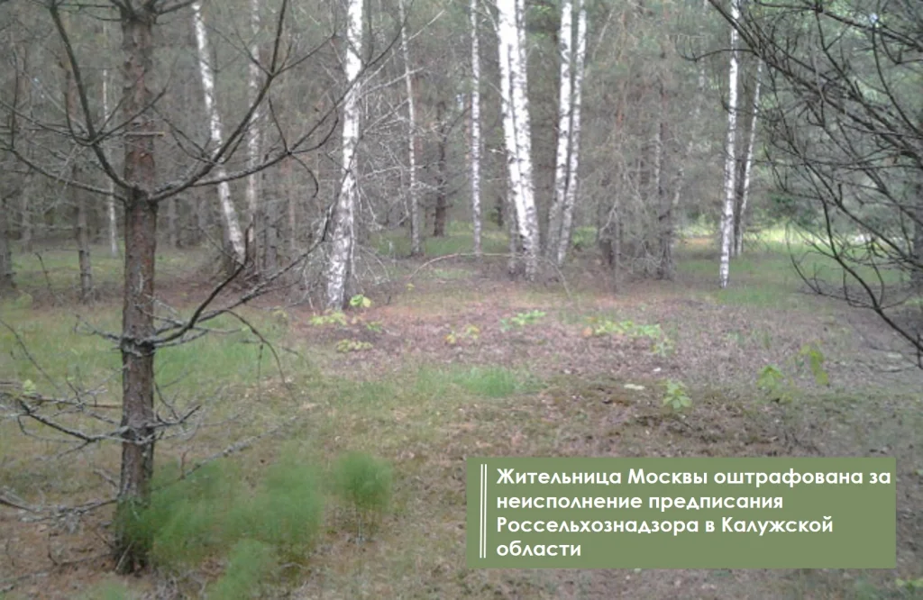 Москвичку оштрафовали за заброшенный участок в Калужской области