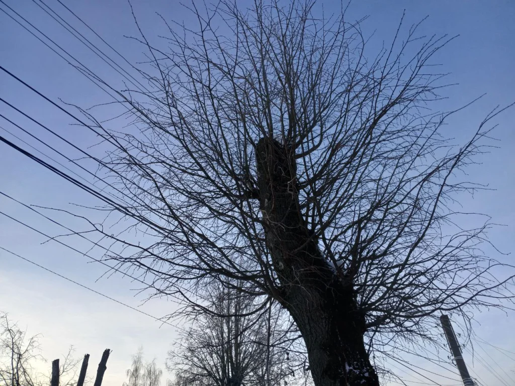 Небо над Калугой закрыли для полётов