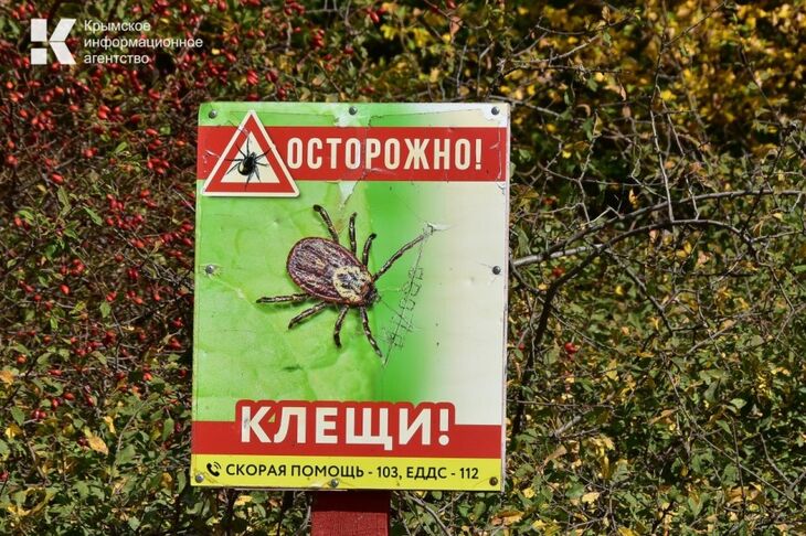 В Крыму более чем 1,6 тысячи человек сняли присосавшихся клещей